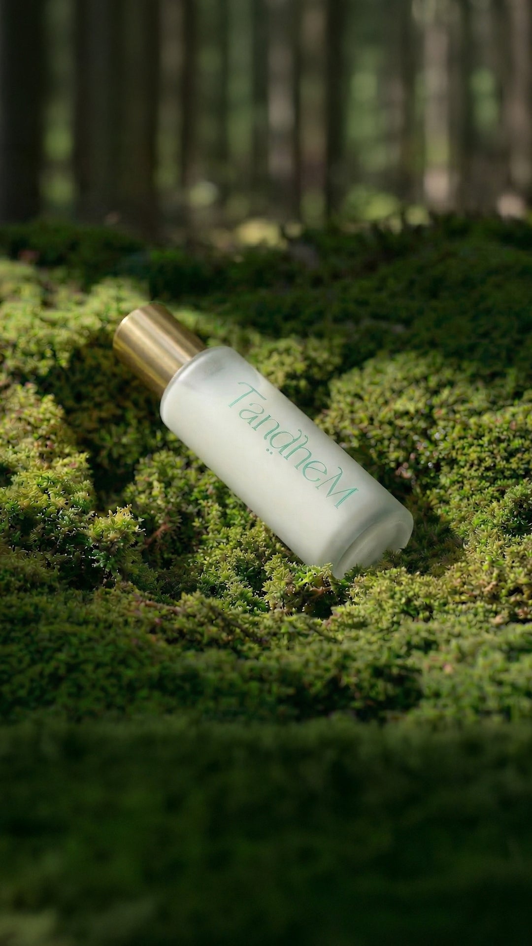 Pro-Aging Essential Face Serum (30 ml)