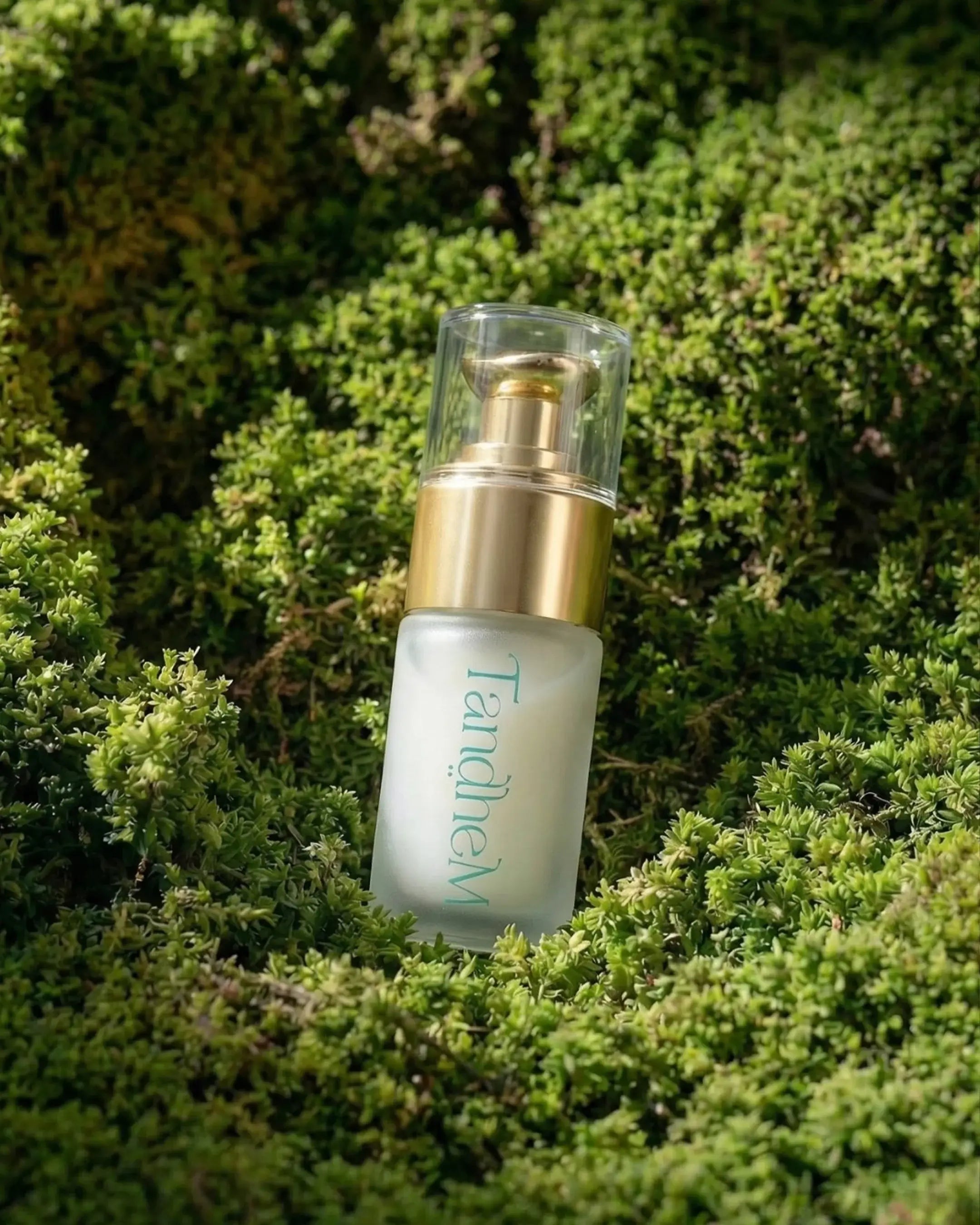 Active botanical eye contour cream with peptides for hydration and dark circles